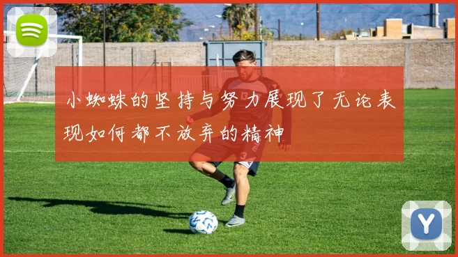小蜘蛛的坚持与努力展现了无论表现如何都不放弃的精神